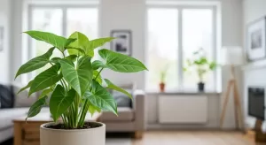 シンゴニウムが垂れるときの原因と適切な解決方法とは