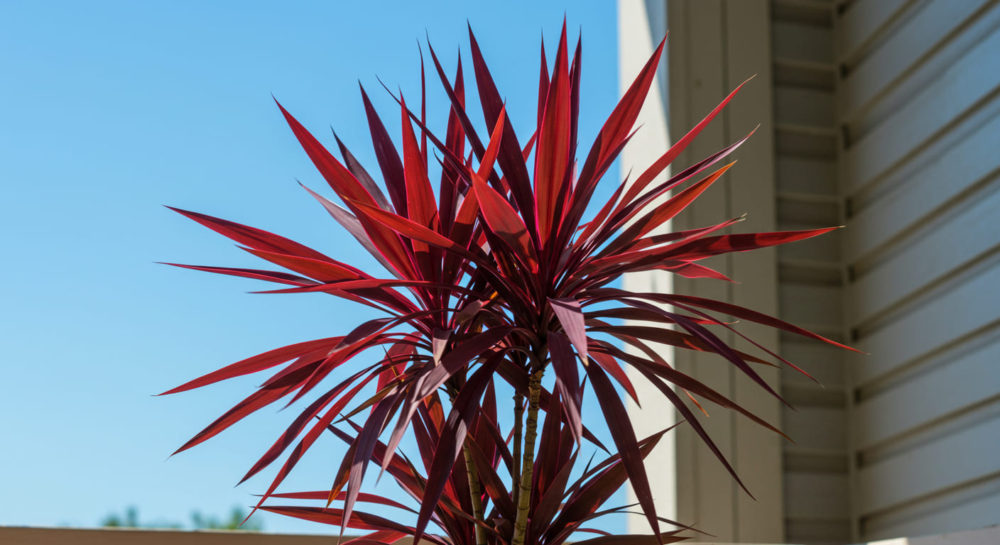 成長を促すためのポイント