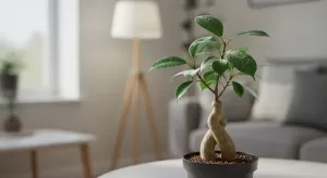 ガジュマルの葉っぱが白い症状の正体と今すぐできる対処法を徹底解説