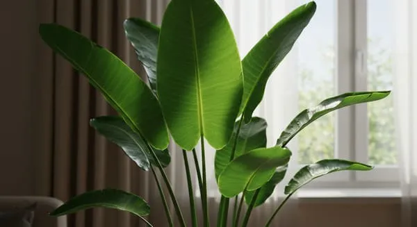 葉の状態を元に戻す方法