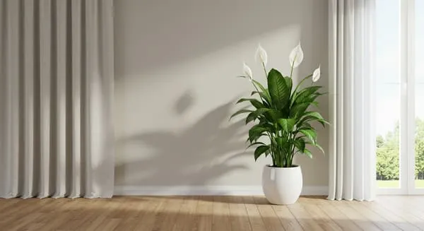 花を咲かせる方法は管理環境の見直し