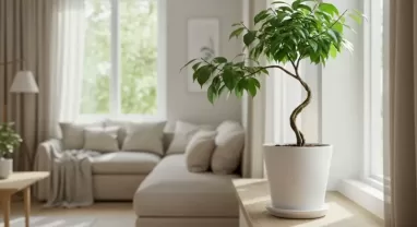 ベンジャミンのねじり方