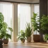 観葉植物がよく育つ家をつくる間取りと住まい計画