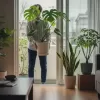 観葉植物を家の中に入れる冬支度