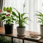 観葉植物の花が終わったら？剪定・水やり・肥料の正しい手入れガイド