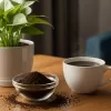 観葉植物にコーヒーかすは使えるの？