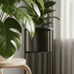 初心者でも分かる観葉植物のスツールとレイアウトの基本テクニック