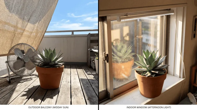 日当たりと置き場所